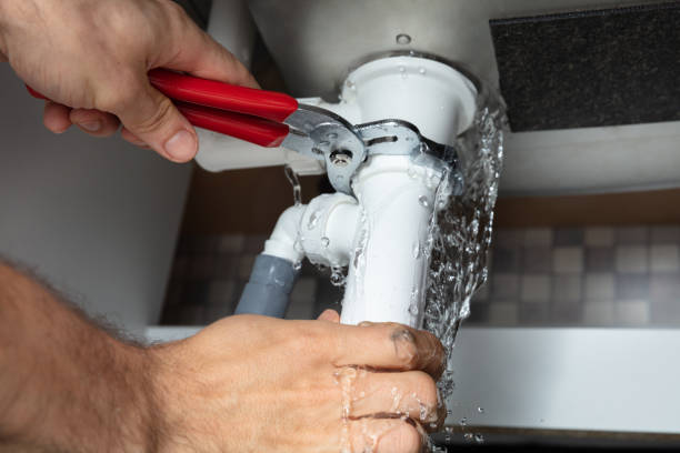 Best Flooded house restoration  in Houston, MO