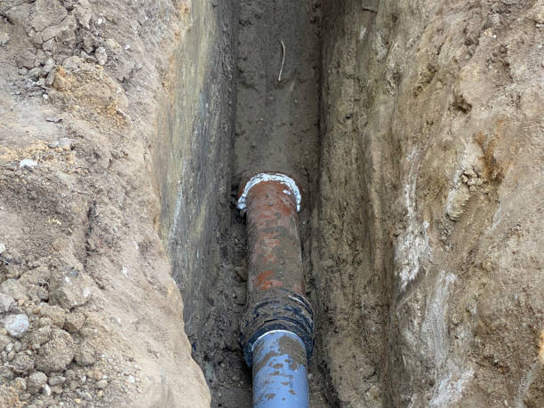 Best Sewage cleanup and water damage restoration  in Houston, MO