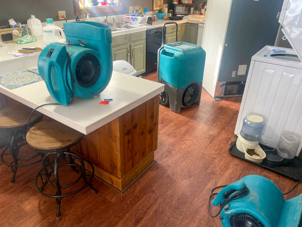 Best Ceiling water damage repair  in Houston, MO