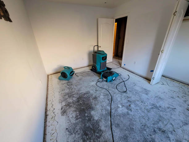 Best 24/7 water damage repair  in Houston, MO