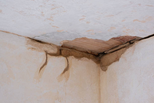 Best Fire Damage Restoration  in Houston, MO