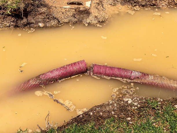 Best Water damage restoration near me  in Houston, MO